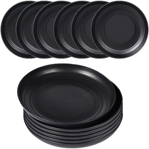 MaoMaoCha Plastic Plates Reusable Set of 6, 7.8 Inch Unbreakable Dinner Plate, Lightweight Service Plates for Kitchen, Camping, Picnics, Outdoor, Microwave and Dishwasher Safe