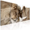 decomonkey Bilder Löwe 225x90 cm 5 Teilig Leinwandbilder Bild auf Leinwand Wandbild Kunstdruck Wanddeko Wand Wohnzimmer Wanddekoration Deko Tiere Afrika Katze braun beige