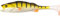 LMAB KØFI (KÖFI) Perch Shad 23 cm - 88g - Hechtköder Bigbait Farbe Real Perch