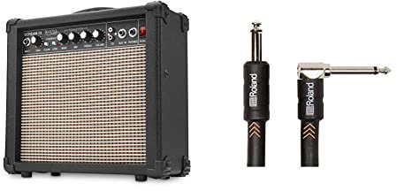 Rocktile Scream-15 - Amplificador para Guitarra & Roland Black Series Instrument Cable Black, RIC-B10A, Length: 10ft/3m