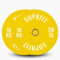 SUPRFIT – Hantelscheiben gummiert 2x 15kg Gelb – Premium Fitness Bumper Plates – Stoßabsorbierende Gewichtsscheiben aus Vollgummigranulat – Hantelscheiben Ø 50mm für Langhantel Training