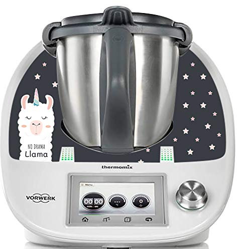 Thermodernizate Thermomix TM5 & TM6 Flamme