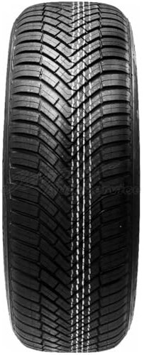 CONTINENTAL - AllSeasonContact - 205/60 R 16-96H/B/B/72dB - Ganzjahresreifen