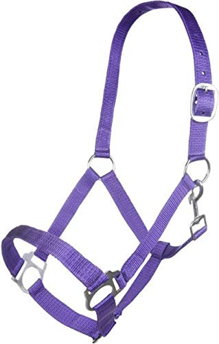 HKM SPORTS EQUIPMENT Innsbruck Headcollar Purple Warmblood