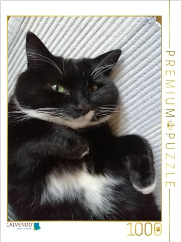 CALVENDO Puzzle Kater, dick und zufrieden | 1000 Teile Lege-Größe 64 x 48 cm Foto-Puzzle für glückliche Stunden