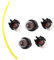 AISEN 5x Benzinpumpe Kraftstoffpumpe Primer mit Schlauch für Dolmar PS 32 35 350 420 33 39 330 340 341 342 344 410 411 490 Ersetz 168398-2