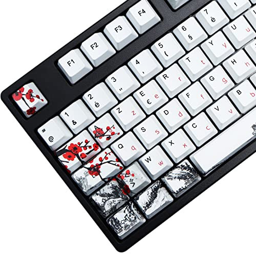 MOLGRIA Tastenkappen-Set für 62 105 109 mechanische Tastatur, benutzerdefinierte PBT OEM-Profil-Tastenkappen für Französisch mit Tastenkappenabzieher für Gateron Kailh Cherry MX Switch ISO-Layout