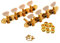 TTETTZ Guitar Tuning Pegs Musical Instrument Parts High Performance 4L 4R Mandolin Replacements for Banjo 8 String Guitars, Gold