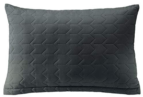 Aqua-Textil Dreamlike Zierkissen 40 x 60 cm anthrazit grau Mikrofaser Dekokissen leichte Wattierung Steppkissen