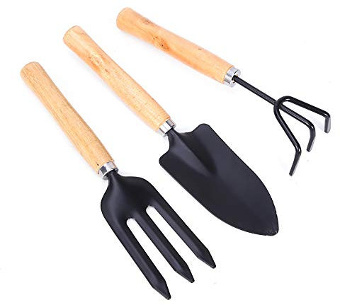 3 pcs Outils de Jardin,Ensemble Outils Jardinage,Outils de Bonsaï,Mini Jardinage Outils pour Pot de Jardin, Plantes et semis