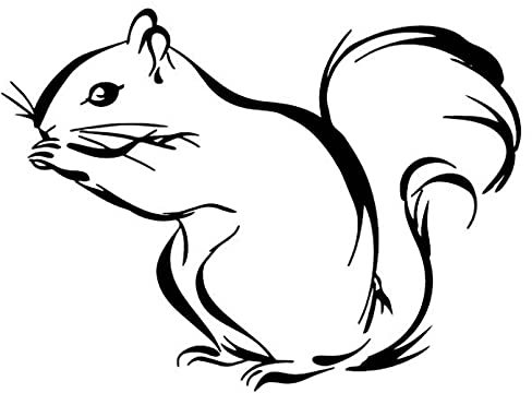 SCSHY Auto-Aufkleber Persönlichkeit Niedliche Eichhörnchen Auto Aufkleber Autos Motorräder Außenzubehör Vinyl Aufkleber