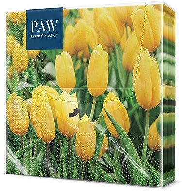 PAW - Servietten 3-lagig (33 x 33 cm) I 20 Stück I Perfekt für Geburtstage, Partys, Hochzeiten, Kommunion und Feiern I Papierservietten Bunt - Garten, Frühling, Ostern I Farbe: Tulips Field