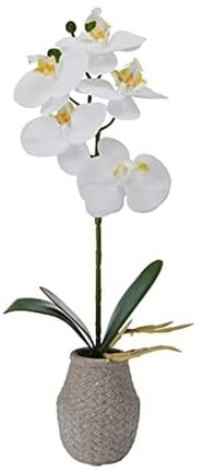 MIKASA Künstliche Orchidee im Topf, fühlen Sich echt an, Phalaenopsis-Orchidee, geprägter Zementtopf, 40,6 cm einzelner Zweig, weiß/gelb