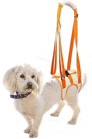 RICHDMI Harnais de Transport pour Chien, Harnais pour Pattes Arrière, Aide à La Marche de Levage Gilet de Traction pour Les Chiens Agés et Blessés, pour Le Dos et La Récupération des Chiens
