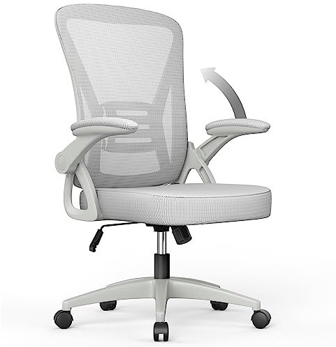 naspaluro Bürostuhl mit Verstellbaren Armlehnen, Ergonomischer Schreibtischstuhl mit Netzbespannung, Lordosenstütze, Höhenverstellbarer, Gepolstertem Sitzkissen, 360° Drehstuhl, Grau
