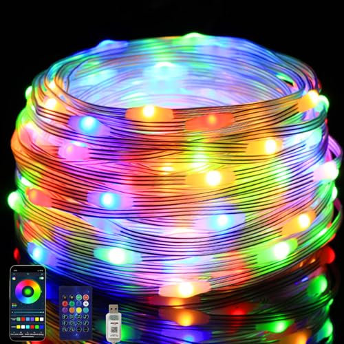 BAIFULAI 20M RGBIC Lichterkette Außen, Bunt Farbwechsel Schlauch,200+ Modi, IP65 Wasserdicht, Fernbedienung & App Steuerung, USB Plug in, mit Timer, Sync Musik, für Garten Baum Trampolin, Party, Heim