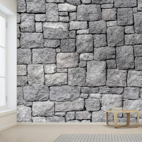 Papier Peint Panoramique Mur de Briques Grises 350x256 cm 3D Papier Peint Intissé Briques de Pierre Photo Trompe l'oeil Poster Geant Mural Salon Chambre Enfant Chambre Décoration Murale a.4637