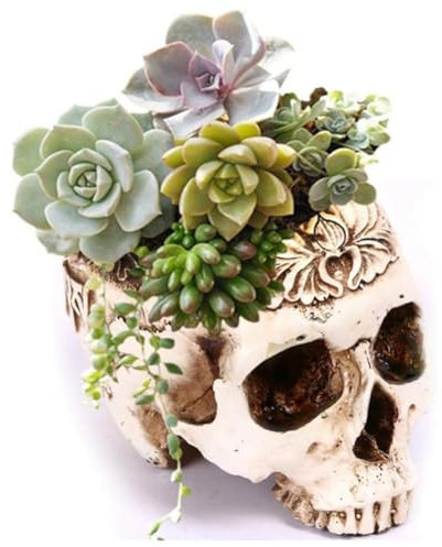 Exogio Menschliche Totenkopf Blumentopf Schädel Modell aus Kunstharz, Artificial Resin Skull Head Schädel Blumentopf in Halloween, Pflanzer Container, Halloween Süßigkeiten Candy Schale