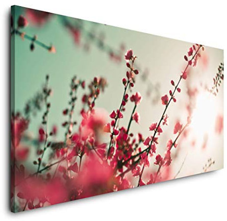 asiatische Kirschblüten 120x 60cm Panorama Leinwand Bild XXL Format Wandbilder Wohnzimmer Wohnung Deko Kunstdrucke