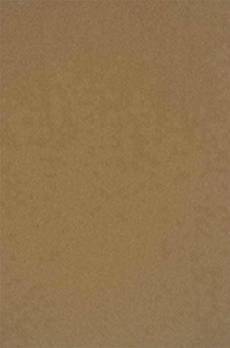 Netuno 20x Sand-Braun Kraft-Karton Recycled DIN A4 210x 297mm 400g braune Kraft-Pappe Natur-Karton Kraft Bastel-Karton Recycling-Pappe ökologisch Kraftkarton zu Basteln Kartengestaltung