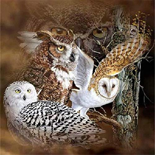 YKCKSD Puzzles mit 1000 Teilen für Erwachsene, Familie, Eulen, Puzzles für Kinder, kreative Freizeit, Lernspiel, Holzspielzeug für Kinder, lustig