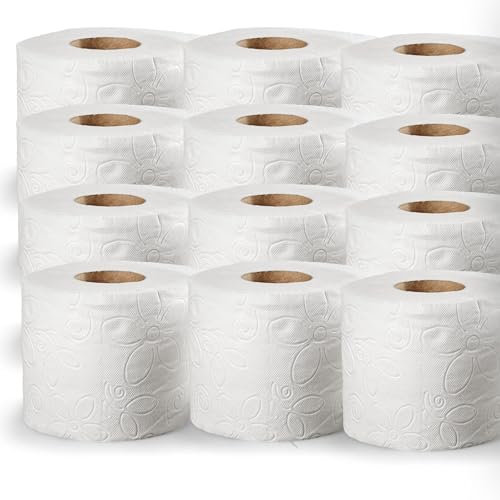 DSTOCK60 – 12 rouleaux de papier toilette blanc gaufré, confort, 2 plis très doux et résistant papier toilette traditionnel