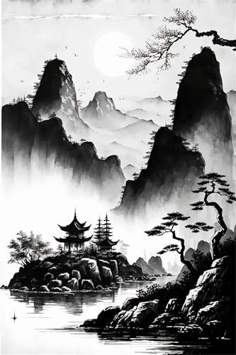 Cooiiye Paysage Noir Blanc Peinture Numero Adulte,sans Cadre DIY Kit de Peinture à l'huile sur Toile pour Débutants,avec Pinceau et Peinture Acrylique Paint by Numbers pour Maison Décoration 40x50 cm
