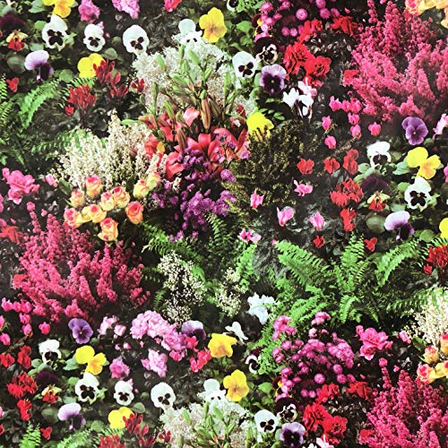 KEVKUS Nappe en toile cirée W270 - Motif cyclamen - Roses, pensées, fleurs - Printemps - Rectangulaire - Ovale - Bords découpés (sans bordure) - 140 x 240 cm