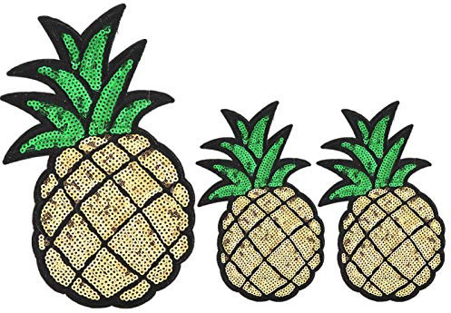 Pssopp 3 Stück bestickte Stoff Patches Ananas Kaktus gestickte Reparatur Patches Aufbügeln Aufnähen Stoffpaste DIY Applique für Kinder Kleidung Taschen Dekor