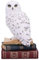 Nemesis Now Library of Wisdom Figur 17 cm, Kunstharz, weiße Eule auf Büchern, Ornament, Fantasie-Bücher, Bücherregal, Schaustück, aus feinstem Kunstharz gegossen, fachmännisch handbemalt