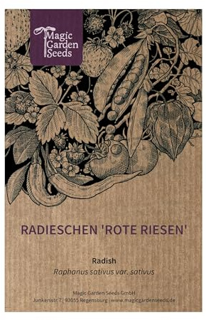 Magic Garden Seeds - Rábano 'Red Gigantes' (Raphanus sativus) - Variedad grande, suave y picante para campo abierto, lechuga y consumo crudo - Semillas resistentes y de alto rendimiento