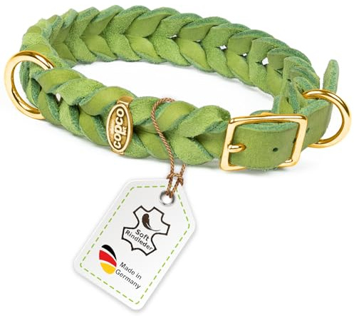 CopcoPet Hundehalsband aus Fettleder 40–44 cm x 15mm Apfelgrün – Geflochtenes Lederhalsband – Messing mit Dornschließe – Robust & verstellbar – Für mittelgroße Hunde, ideal für Alltag & Training