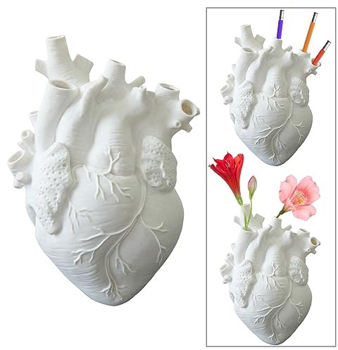 Molyorch Vaso Anatomico del Cuore Creativo - Forma Cuore Statue per Decorazione Floreale, Regali la Confessione, Strumenti Didattici