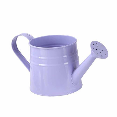 Dualoai Arrosoir en Métal Miniature, Pot de Fleurs élégant pour Décoration Intérieure et Extérieure, Violet