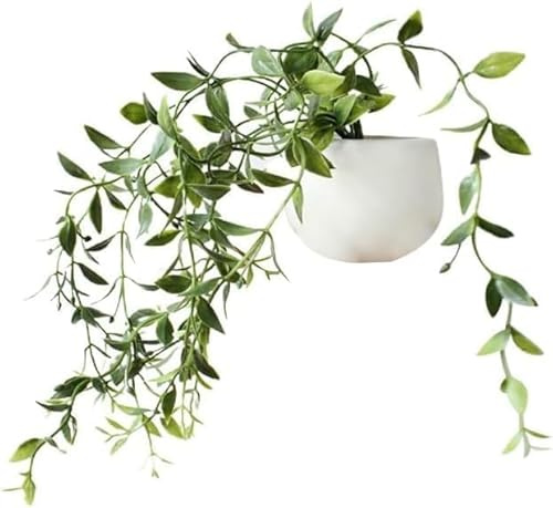 3D Green Plants Decorative Magnets for Fridge,Fridge Magnet Locker Magnets for Office Kitchen House, Home Kitchen Accessories