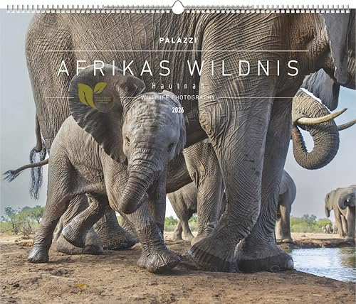 Palazzi - Hautnah – Afrikas Wildnis 2026 – Wandkalender 60×50 cm mit 12 Tierfotografien, Poster-Kalender mit Wildtieren & humorvollen Bildunterschriften: Wildlife Photography