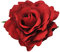 Simulazione di clip per capelli da donna Rosa Corsage Multi funzionalità Multificiale Spettatura rosa Pin Pin Croote Craft Hair Accessori per festa di matrimonio 2 pezzi vino rosso 10cmhair