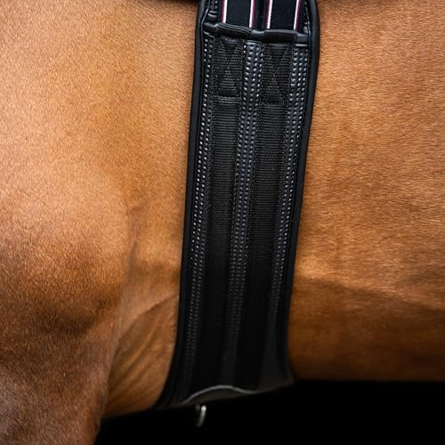 Imperial Riding Springgurt IRHBasic, anatomischer Stollengurt mit atmungsaktiver Polsterung und Bauchlatz, Schwarz, 95cm