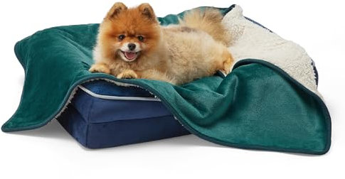 Lesure wasserdichte Hundedecke kleine Hunde - 80x60cm Outdoor Hundedecke waschbar, Hundedecke Sofaschutz aus Sherpa Fleece, Katzendecke flauschig und weich, Dunkelgrün