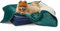 Lesure wasserdichte Hundedecke kleine Hunde - 80x60cm Outdoor Hundedecke waschbar, Hundedecke Sofaschutz aus Sherpa Fleece, Katzendecke flauschig und weich, Dunkelgrün