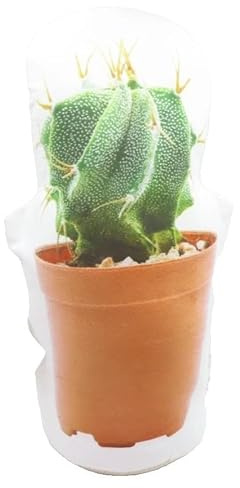 Green Cactus Doorstop Fabric 29CM Home Decor Gift Christmas