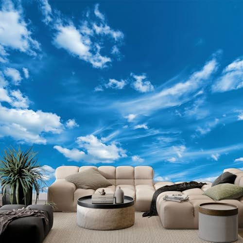 WHUOEUCO Photo Wallpaper Blue Sky and Clouds 400x280 cm Fashion Art Wall Mural Non-Woven Large 3D Poster, Living Room TV Background Bedroom Decoration Mural