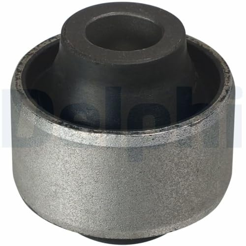 DELPHI Lagerung Lenker 545600001R | Kompatibel mit: RENAULT LATITUDE