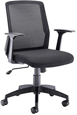 Office Hippo Desk Chair, Ergonomic Office Chair For Home & Office With Breathable Mesh Backrest, Fixed Arms For Comfort & Support, Computer Chair For Daily Use, Up To 115kg Weight, Black