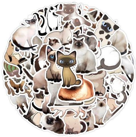 Bric Dodo 50 Stück Siamese Cat Aufkleber Auto Laptop Telefon Gitarre Skateboard Motorrad Fahrrad Siamese Cat Stickers Set Vinyl Wasserdicht Aesthetic Aufkleber für Jugendliche Kinder Erwachsene