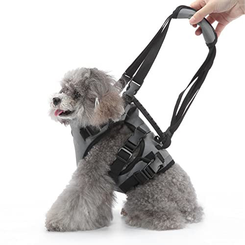 OPPWONG Hunderucksackgeschirr, Verstellbare Katzenweste, Geschirre, Leine, Ganzkörper-Hundegeschirr, Unterstützung der Hundeweste, Atmungsaktive Haustier-Leine für Kleine, Mittelgroße