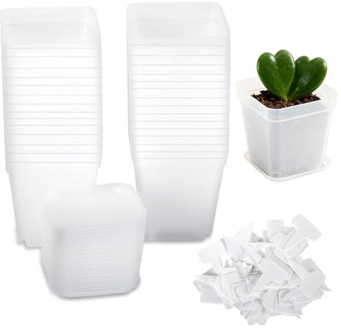 Gykutix 30 Pezzi 7cm Vasi Trasparenti per Orchidee, Vasi per Piante Quadrati, Vaso in Plastica Piccolo con Pallet ed Etichette Inclusi per Semi, Piante Grasse, Piantine