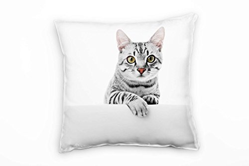 Paul Sinus Art Tiere, Katze, grau, weiß Deko Kissen 40x40cm für Couch Sofa Lounge Zierkissen - Dekoration zum Wohlfühlen