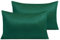 NTBAY 2 Pack Zippered Satin Pillow Cases for Hair and Skin, Luxury Standard Hidden Zipper Pillowcases Set of 2, 50x75 cm, Dark Green