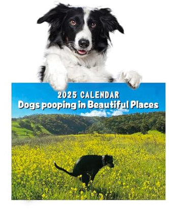 ZITUZY Kalender 2025 - Pooping Dogs Calendar | Hundekalender - Dogs Pooping In Beautiful Places Calendar | Kalender für Hunde | Zeichnen Sie den Wachstumskalender eines Hundes auf